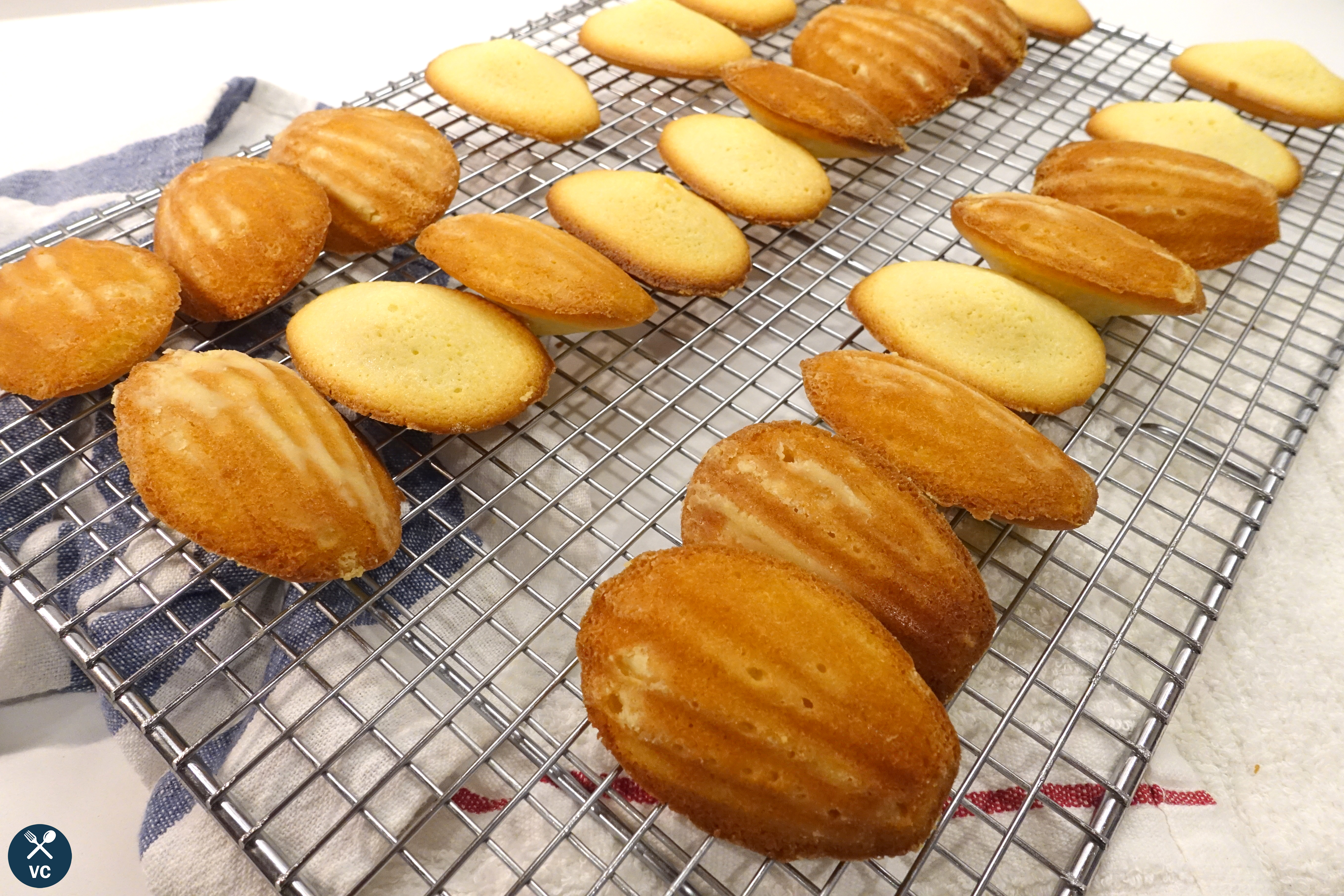 Freshly baked classic madeleines cooling on a wire rack (VC in the Kitchen)